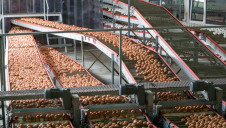 The production process of food accounts for 8% of global emissions, while food waste – which includes losses in the consumer phase – generates $940bn in global economic losses annually